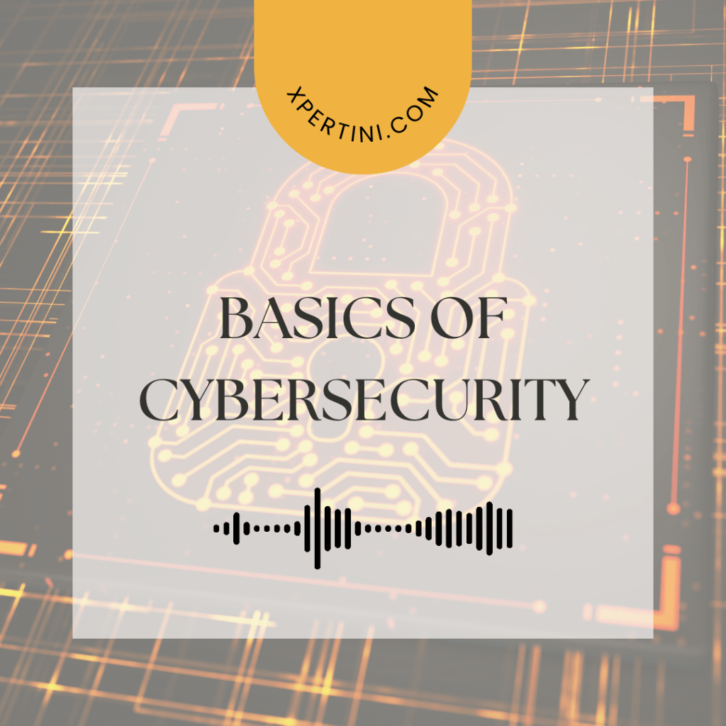 Basics of Cybersecurity