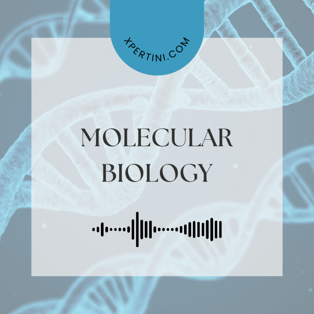 Molecular Biology 77 Basics of Digital Content Creation 1