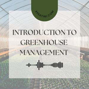 Course Catalog 195 Time Management and Productivity 1