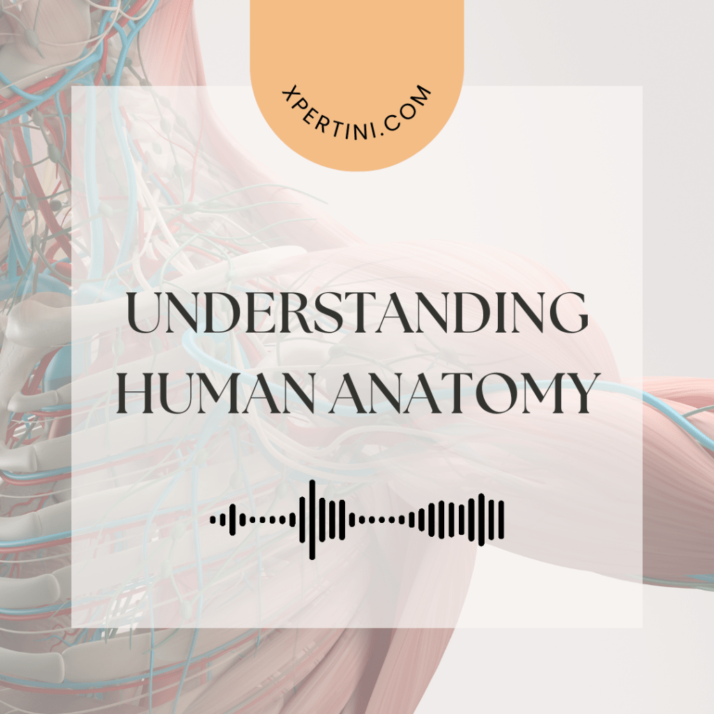 Understanding Human Anatomy