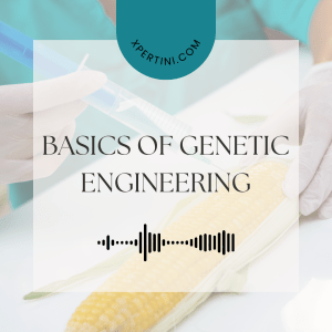 Course Catalog 278 Basics of Genetic Engineering