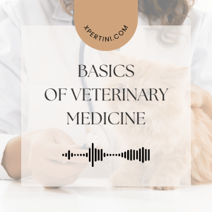 Course Catalog 285 Basics of Veterinary Medicine