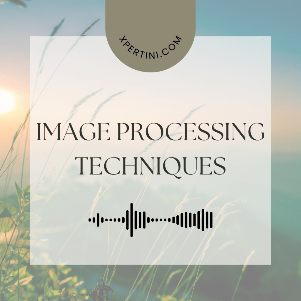 Image Processing Techniques 1 Image Processing Techniques
