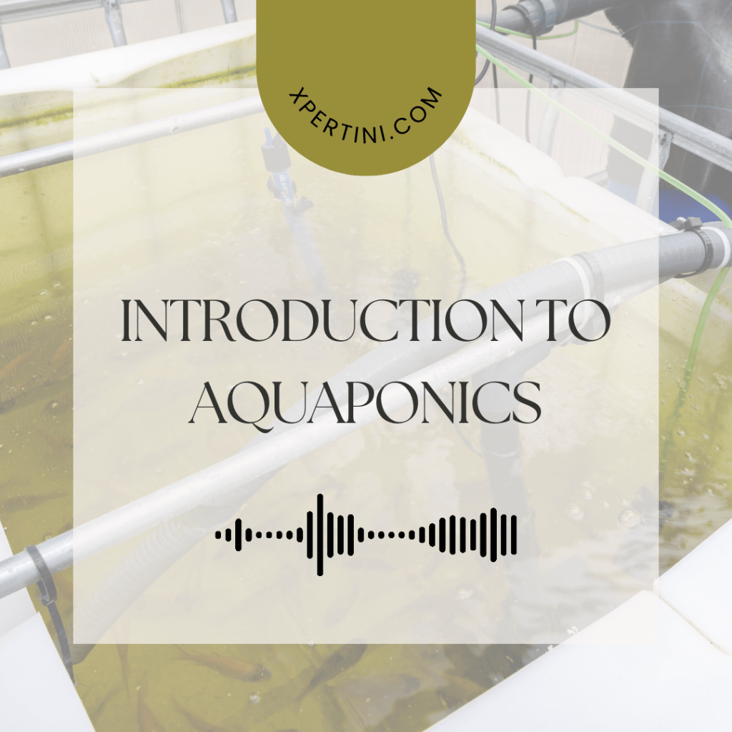 Introduction to Aquaponics 97 Introduction to Aquaponics