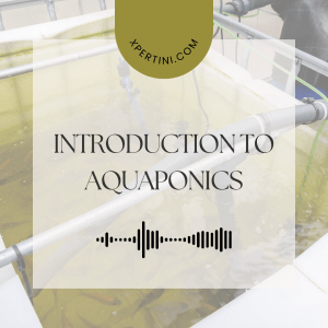 Course Catalog 204 Introduction to Aquaponics