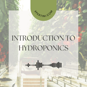 Course Catalog 180 Introduction to Hydroponics 1