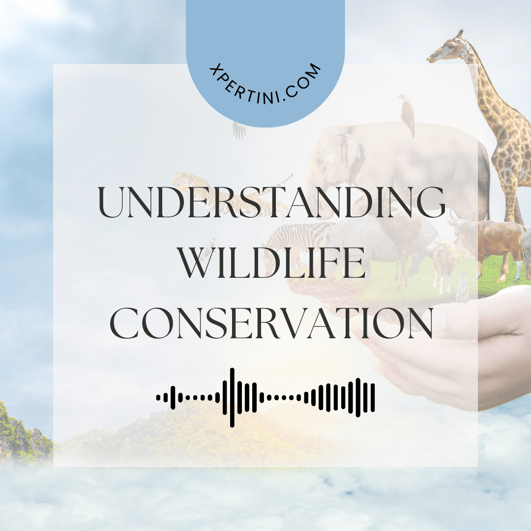 Understanding Wildlife Conservation - Xpertini