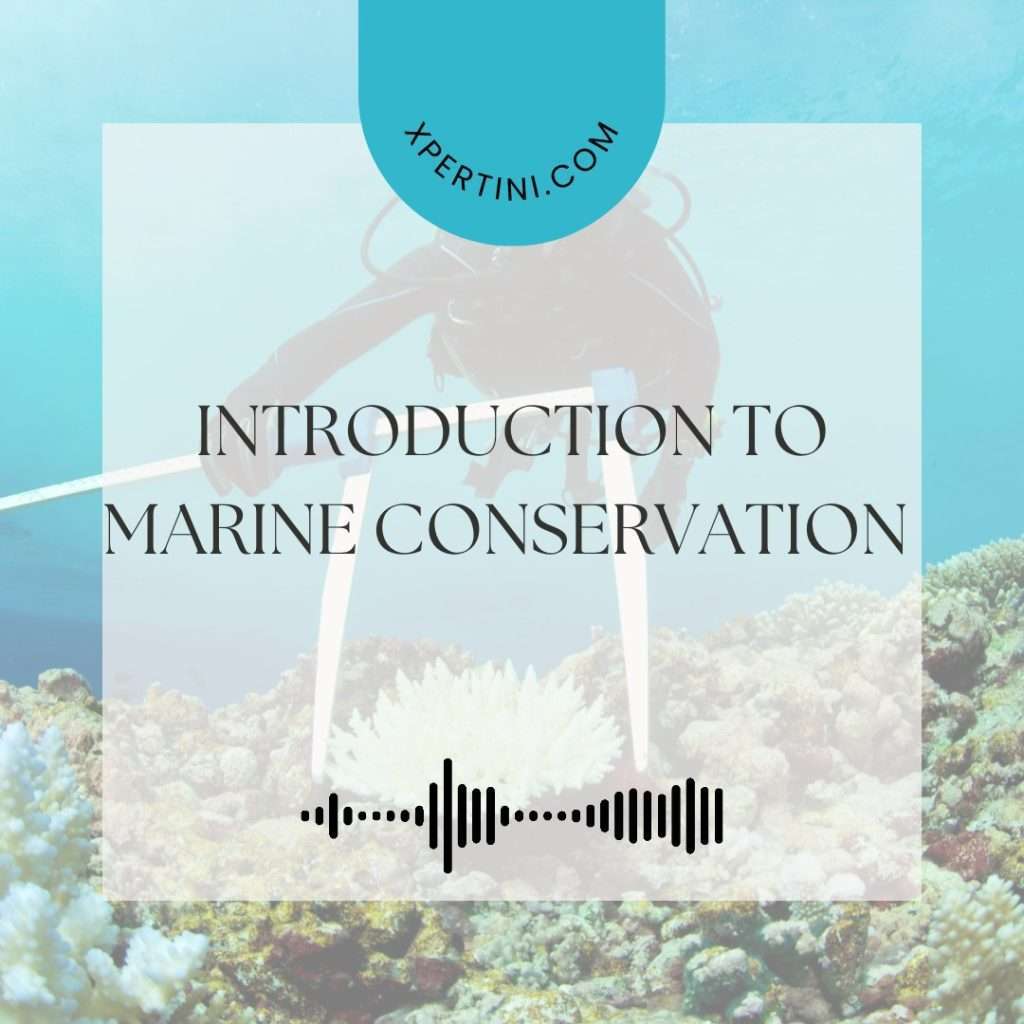 Introduction to Marine Conservation 19 Introduction to Marine Conservation