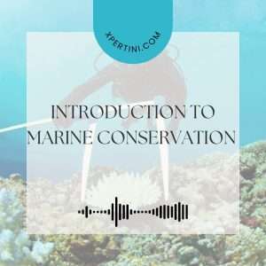 Course Catalog 29 Introduction to Marine Conservation